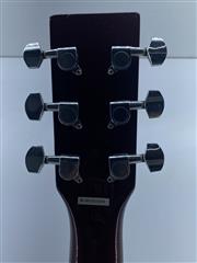 Eleca Acoustic Guitar DAG-5-SB